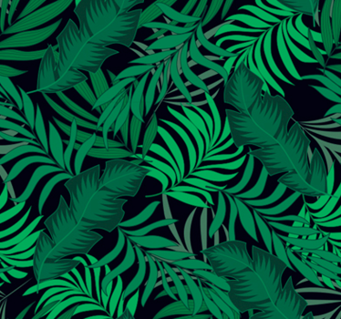 Clés de papier peint forêt dans la jungle - TenStickers