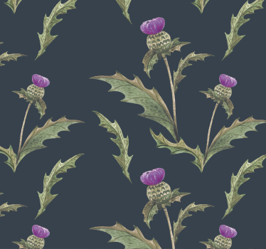 Papier peint fleur moderne Chardon écossais vert et violet - TenStickers